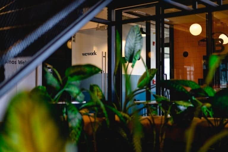 Opened Glass Door to an office with green plants