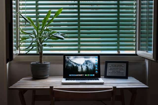 Keeping an indoor plant on your desk