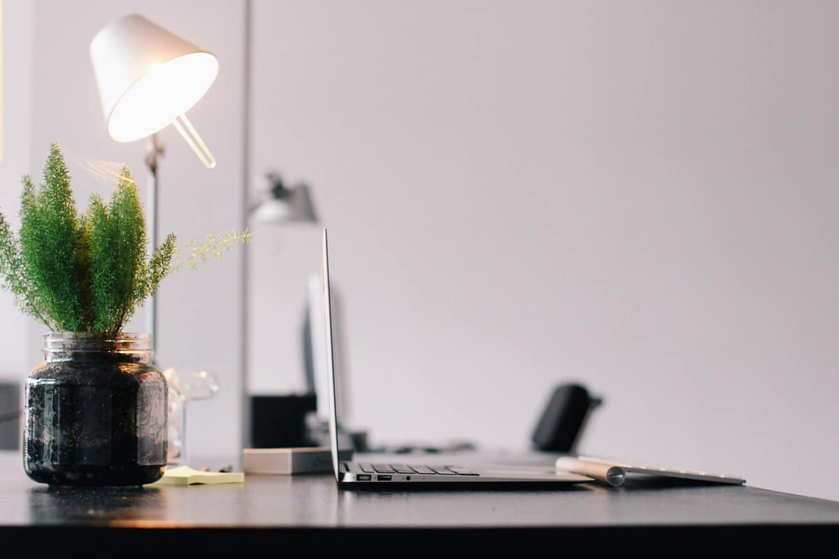 lamp plant table lamp plant table