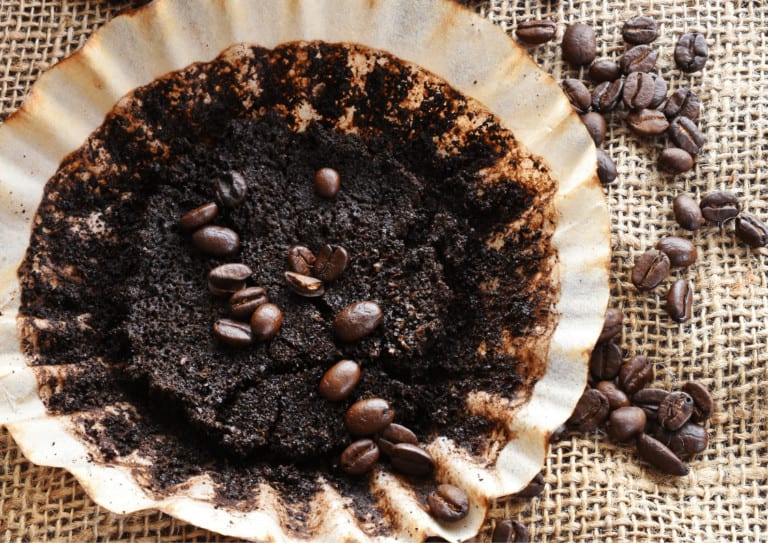 Used coffee grounds for adding into a Boston Fern pot