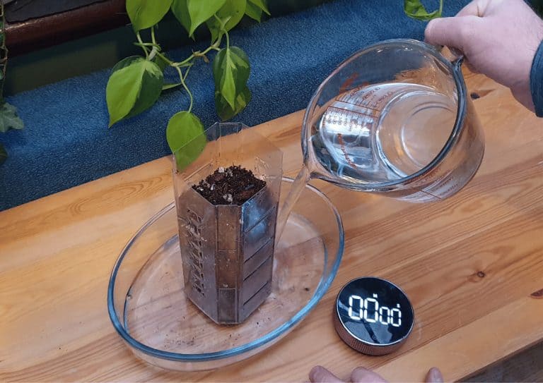 Pouring water into a glass dish for the purpose of watering a houseplant using the bottom up method.