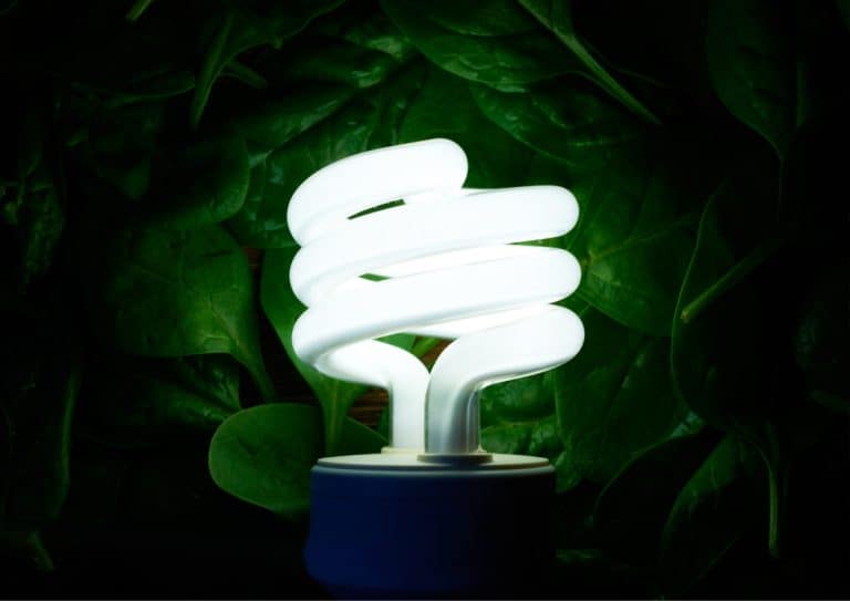 A grow lightbulb surrounded by green foliage