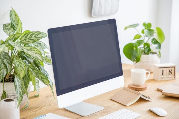 Close-up of a computer’s black screen between plants on a wooden desk. Place your logo Close-up of a computer's black screen between plants on a wooden desk. Place your logo