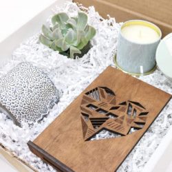 With Love Succulent Box