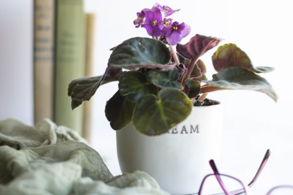 Photo by Carolyn V on Unsplash