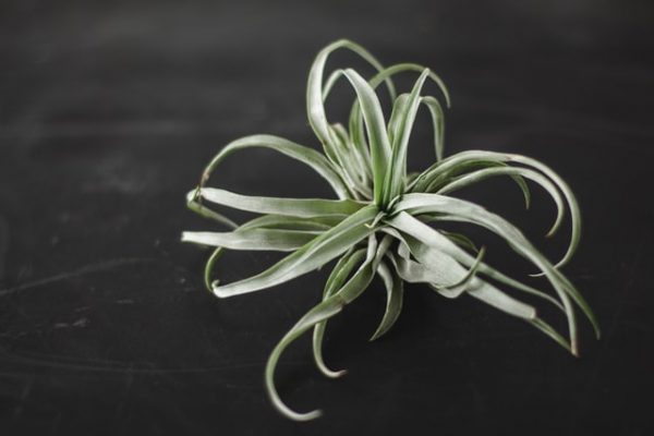 Photo by Sarah Bronske on Unsplash