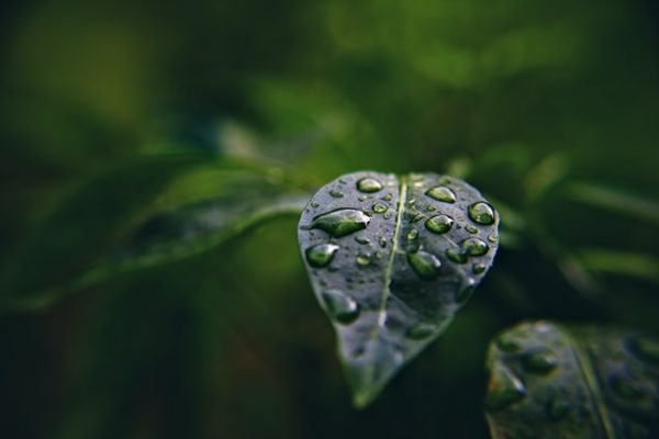 Photo by Wayne M. on Unsplash